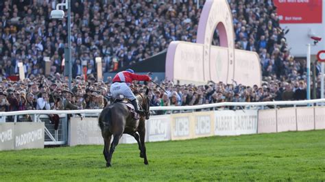 cheltenham results live.